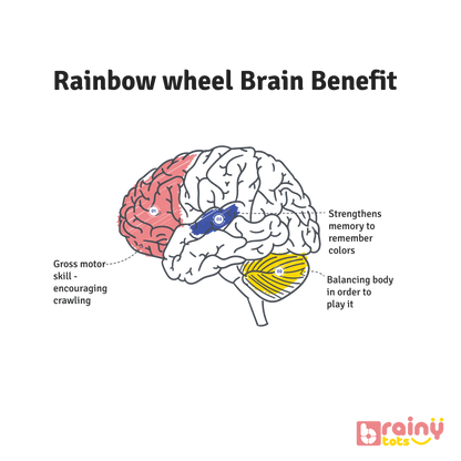 Experience the cognitive benefits of our Rainbow Spinning Wheel for babies aged 3 months and up. As they engage with the colorful spinning motion, babies stimulate their visual senses, fostering cognitive development and spatial awareness. Elevate your baby's sensory exploration and early learning with BrainyTots.com.