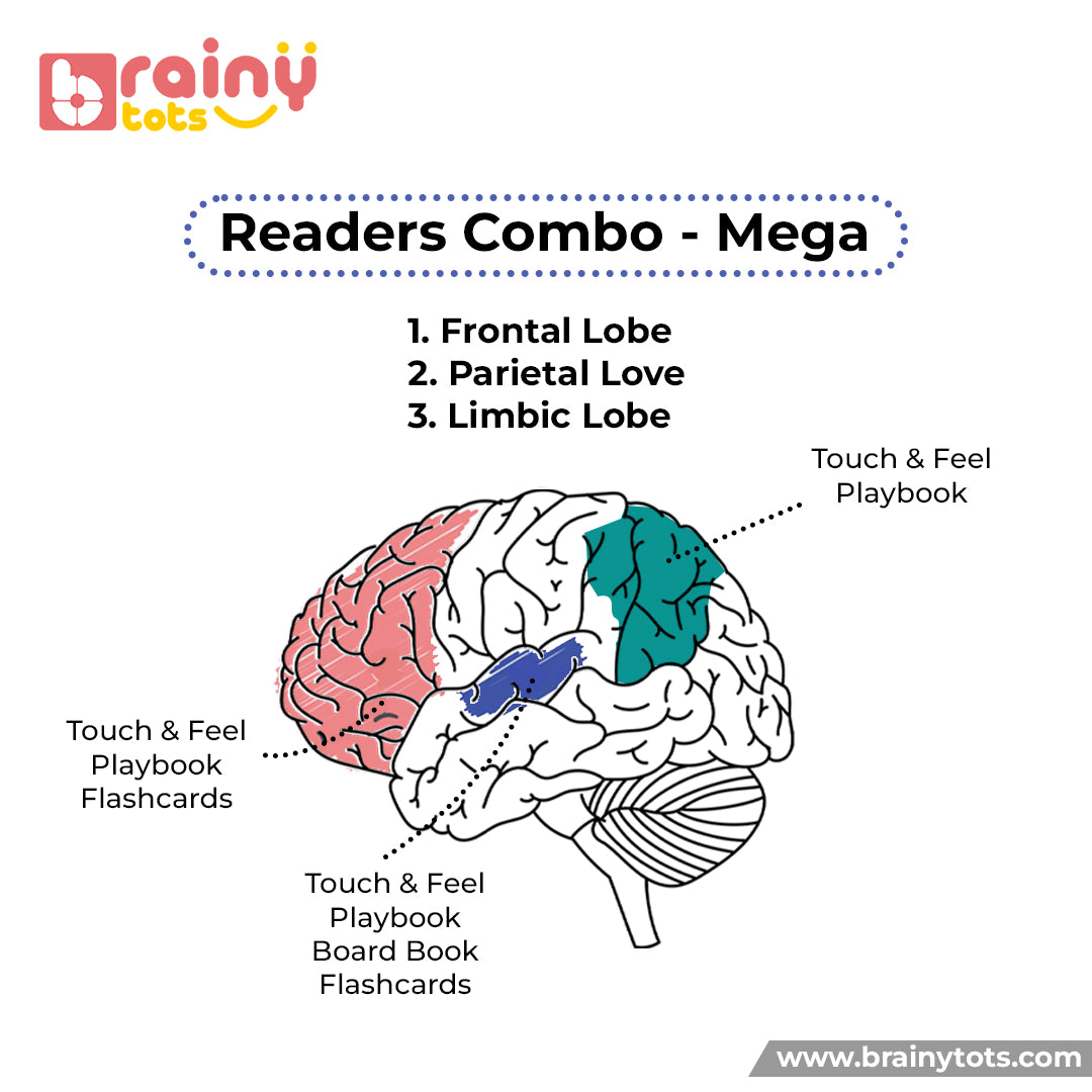 Reader Combo - Mega