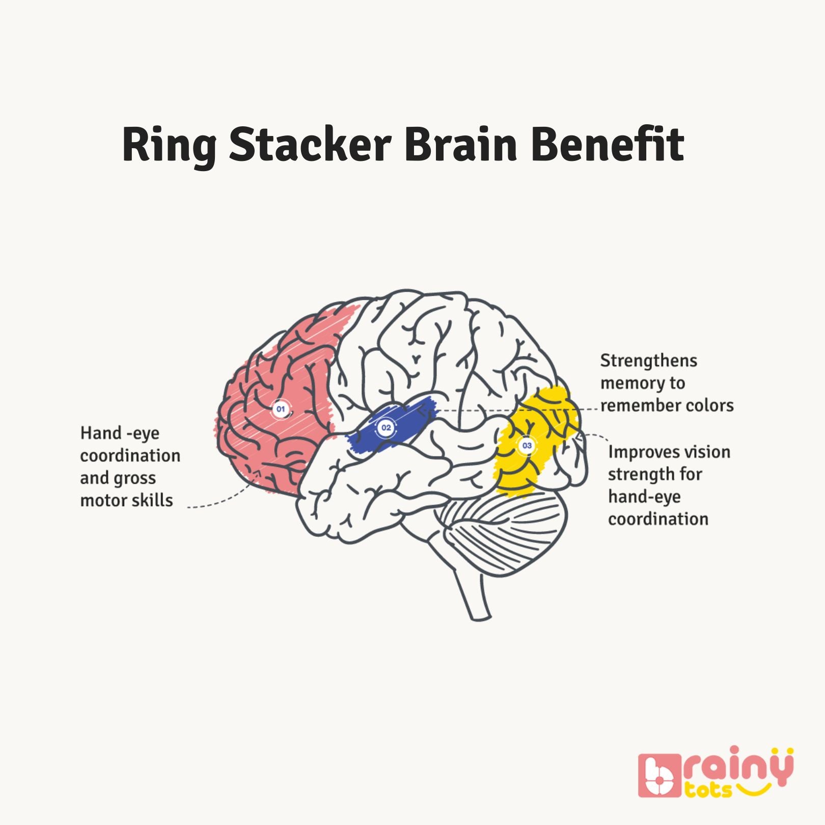image of baby's brain showing which all areas of brain develop while playing with ring stacker