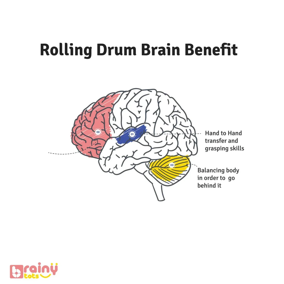 Experience the cognitive benefits of our Rolling Drum Rattle for babies aged 3 months and up. As they engage with the colorful spinning motion, babies stimulate their visual senses, fostering cognitive development and spatial awareness. Elevate your baby's sensory exploration and early learning with BrainyTots.com.