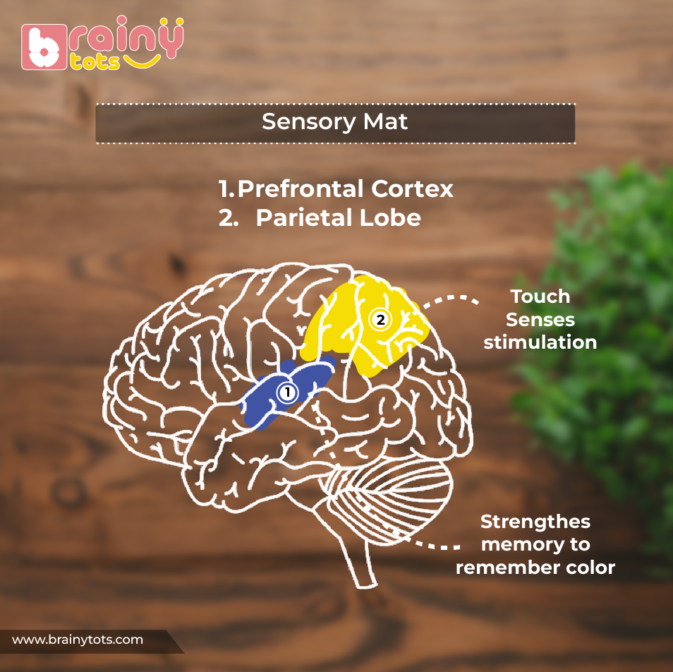 Sensory Blast Play Kit