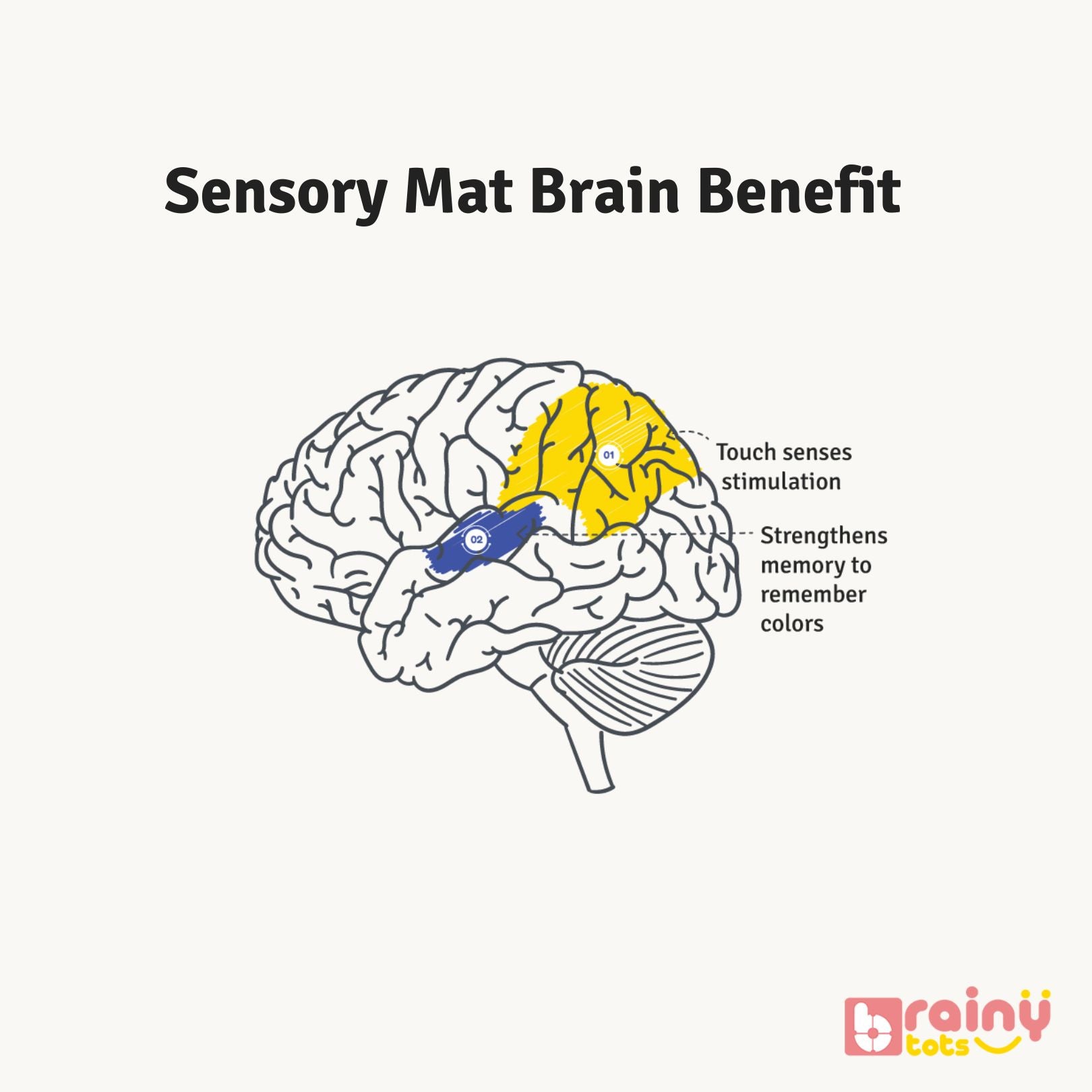 Unlock the cognitive benefits of our Sensory Texture Mat, tailored to nurture your baby's brain development. Delve into how tactile stimulation and sensory exploration support crucial neural connections, fostering early learning and cognitive growth. Elevate your infant's developmental journey with BrainyTots.com.