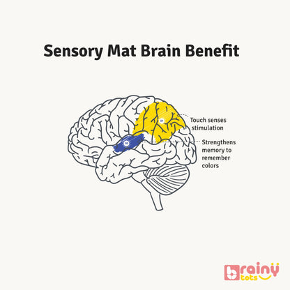 Unlock the cognitive benefits of our Sensory Texture Mat, tailored to nurture your baby's brain development. Delve into how tactile stimulation and sensory exploration support crucial neural connections, fostering early learning and cognitive growth. Elevate your infant's developmental journey with BrainyTots.com.