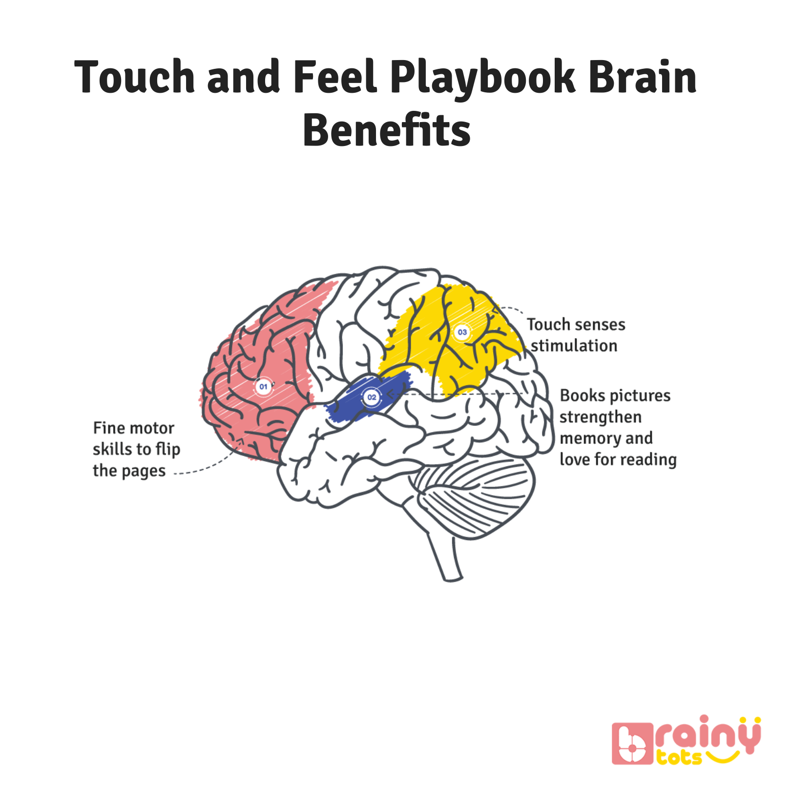 The Touch and Feel Playbook enhances brain development in newborn babies by stimulating tactile exploration and early cognitive skills. These Montessori-inspired books, designed for infants aged 0-12 months, feature varied textures that promote sensory engagement and curiosity. Safe, durable, and perfect for fostering early learning and interaction.