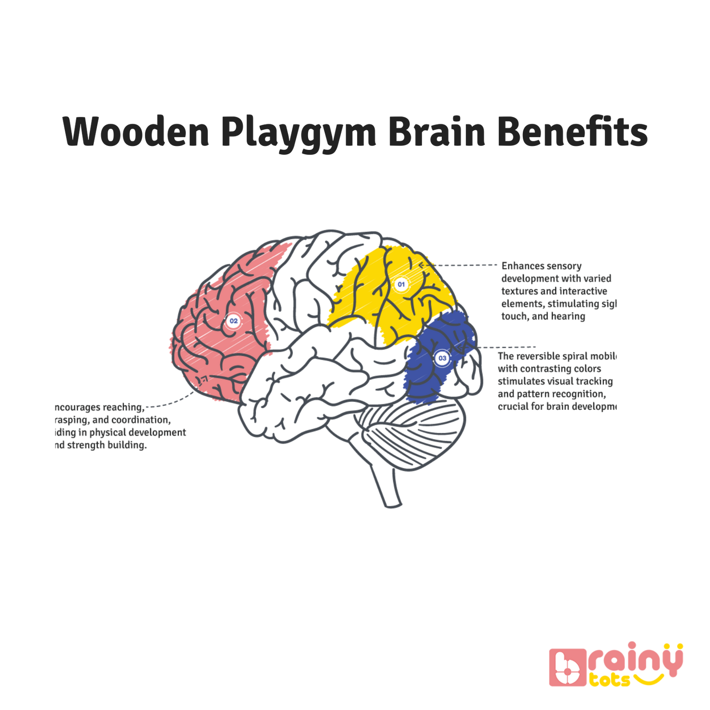 Our Wooden Play Gym enhances cognitive development in infants aged 0-12 months. It stimulates visual tracking, depth perception, and sensory exploration with high-contrast elements, varied textures, and interactive toys. This Montessori toy also promotes hand-eye coordination and motor skills. Safe, sturdy, and perfect for early learning and interactive play.