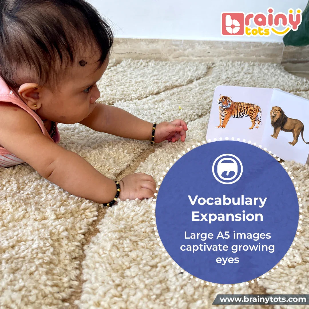 Baby exploring the BrainyTots Alphabet & Number Board Book with large colorful animal illustrations that encourage vocabulary expansion, visual recognition, language development, and parent-child learning for babies aged 3+ months.