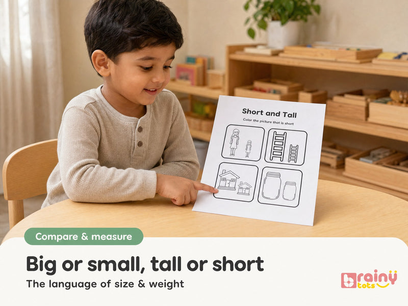 Big or small, tall or short