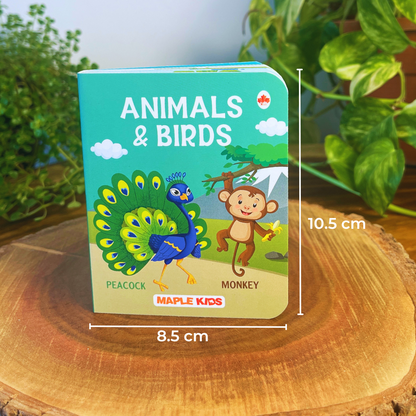 Reading Roots Kit for 0-12 Months | Parenting Guide Book + Sensory Cloth Book + Board Books Set + Flashcards with Mirror | Pre-Reading & Visual Development | By Harvard-Certified Expert