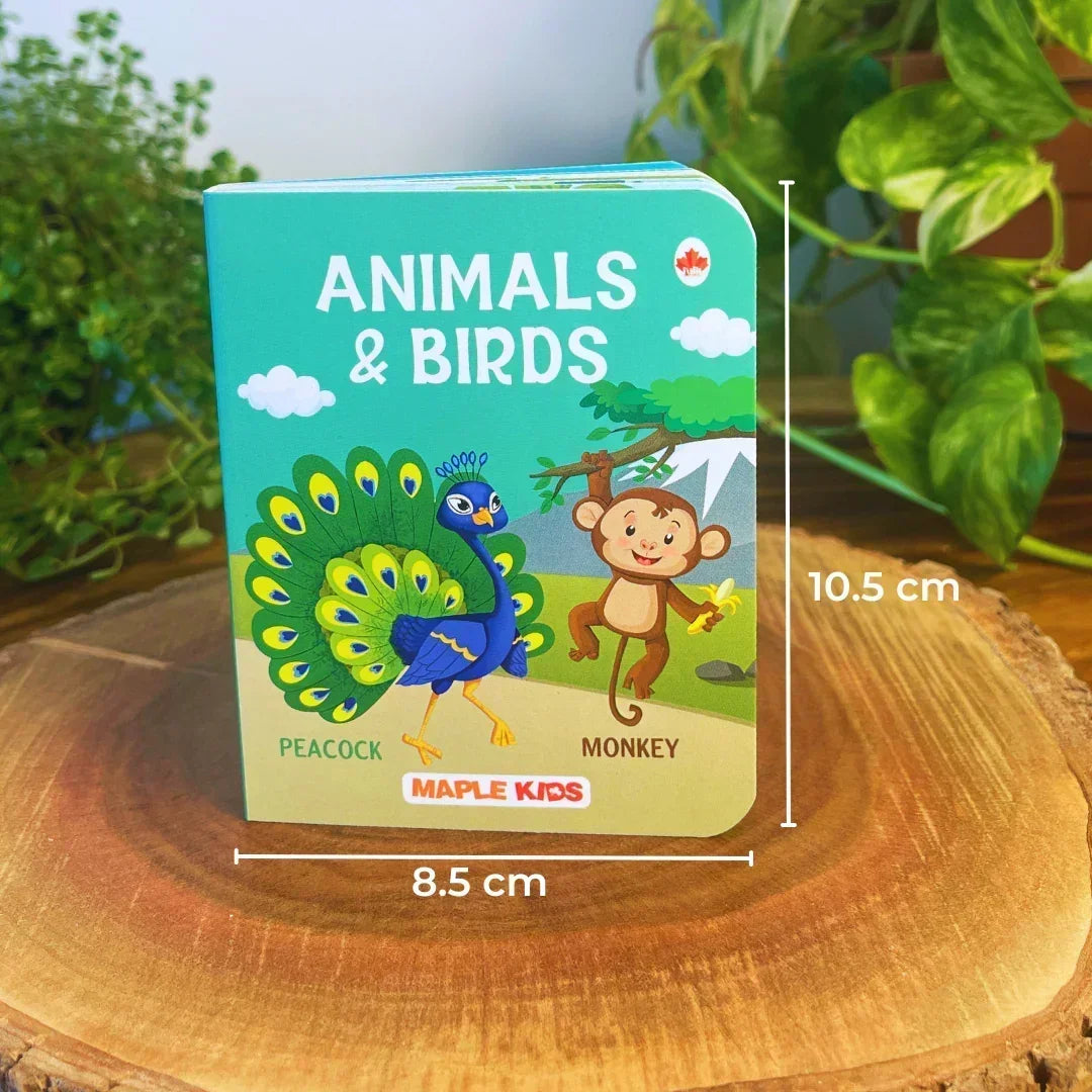 BrainyTots Baby's First Books Set board book with baby-friendly dimensions (10.5 × 8.5 cm), designed for little hands to encourage independent reading, vocabulary building, and early learning.
