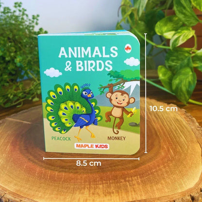 BrainyTots Baby's First Books Set board book with baby-friendly dimensions (10.5 × 8.5 cm), designed for little hands to encourage independent reading, vocabulary building, and early learning.