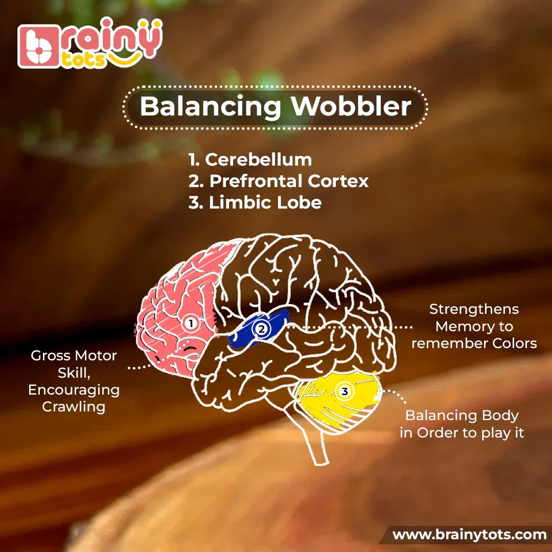 BrainyTots Montessori Balancing Wobbler infographic showing how wobbling movement supports early brain development, gross motor skills, balance, memory, and crawling in babies 0–12 months.