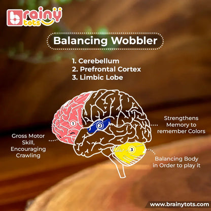 BrainyTots Montessori Balancing Wobbler infographic showing how wobbling movement supports early brain development, gross motor skills, balance, memory, and crawling in babies 0–12 months.