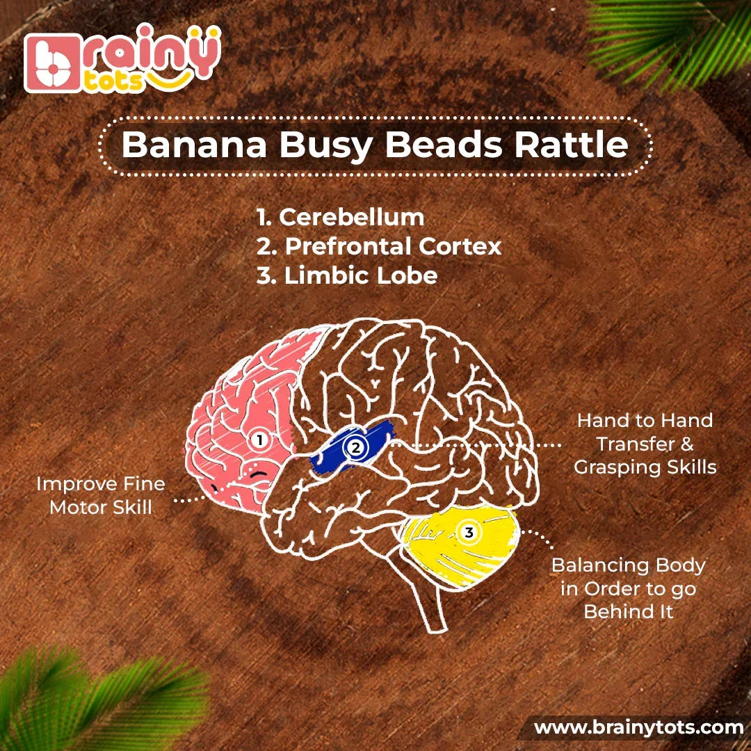 BrainyTots Banana Busy Beads Rattle developmental infographic showing grasping, hand-to-hand transfer, fine motor skills, and body movement linked to different areas of the brain.