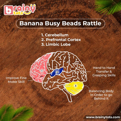 BrainyTots Banana Busy Beads Rattle developmental infographic showing grasping, hand-to-hand transfer, fine motor skills, and body movement linked to different areas of the brain.