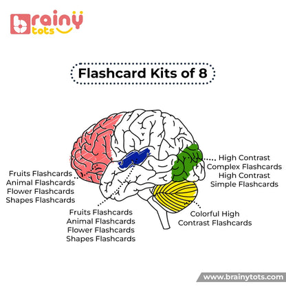 Illustration showing how the BrainyTots Flash Cards Kit of 8 Sets supports early visual processing, pattern recognition, memory, and cognitive development through high-contrast, colorful, and themed flashcards for babies aged 0–24 months.