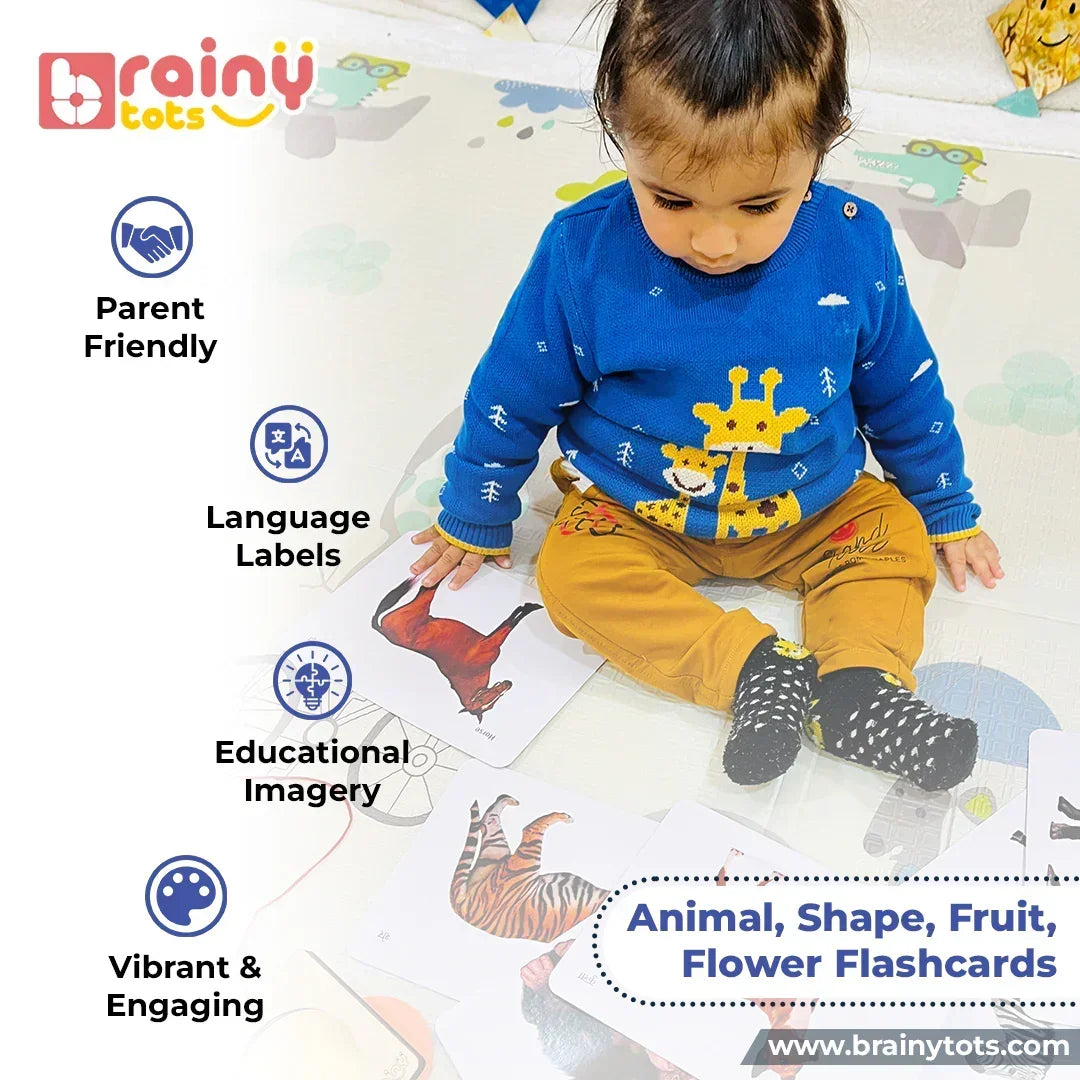 Toddler exploring BrainyTots Animal, Shape, Fruit, and Flower Flashcards featuring realistic educational images, clear language labels, and parent-friendly learning activities for babies and toddlers aged 0–24 months.