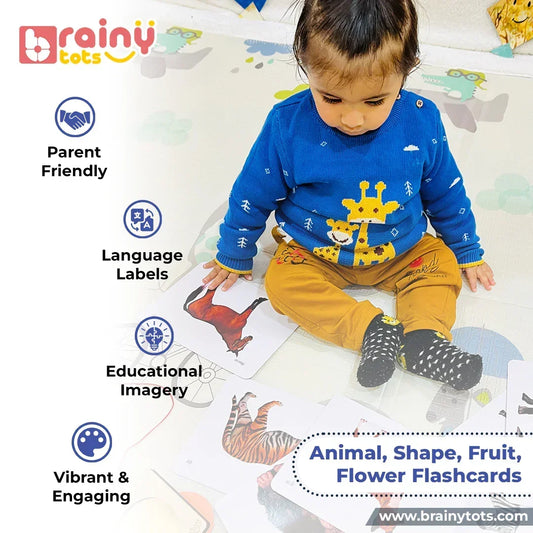Toddler exploring BrainyTots Animal, Shape, Fruit, and Flower Flashcards featuring realistic educational images, clear language labels, and parent-friendly learning activities for babies and toddlers aged 0–24 months.