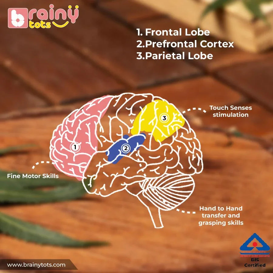 BrainyTots Interlocking Discs Teether benefits graphic highlighting teething, fine motor skills, hand-to-hand transfer, and cause-and-effect play.