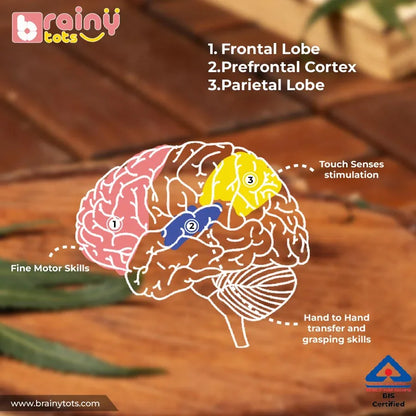 BrainyTots Interlocking Discs Teether benefits graphic highlighting teething, fine motor skills, hand-to-hand transfer, and cause-and-effect play.