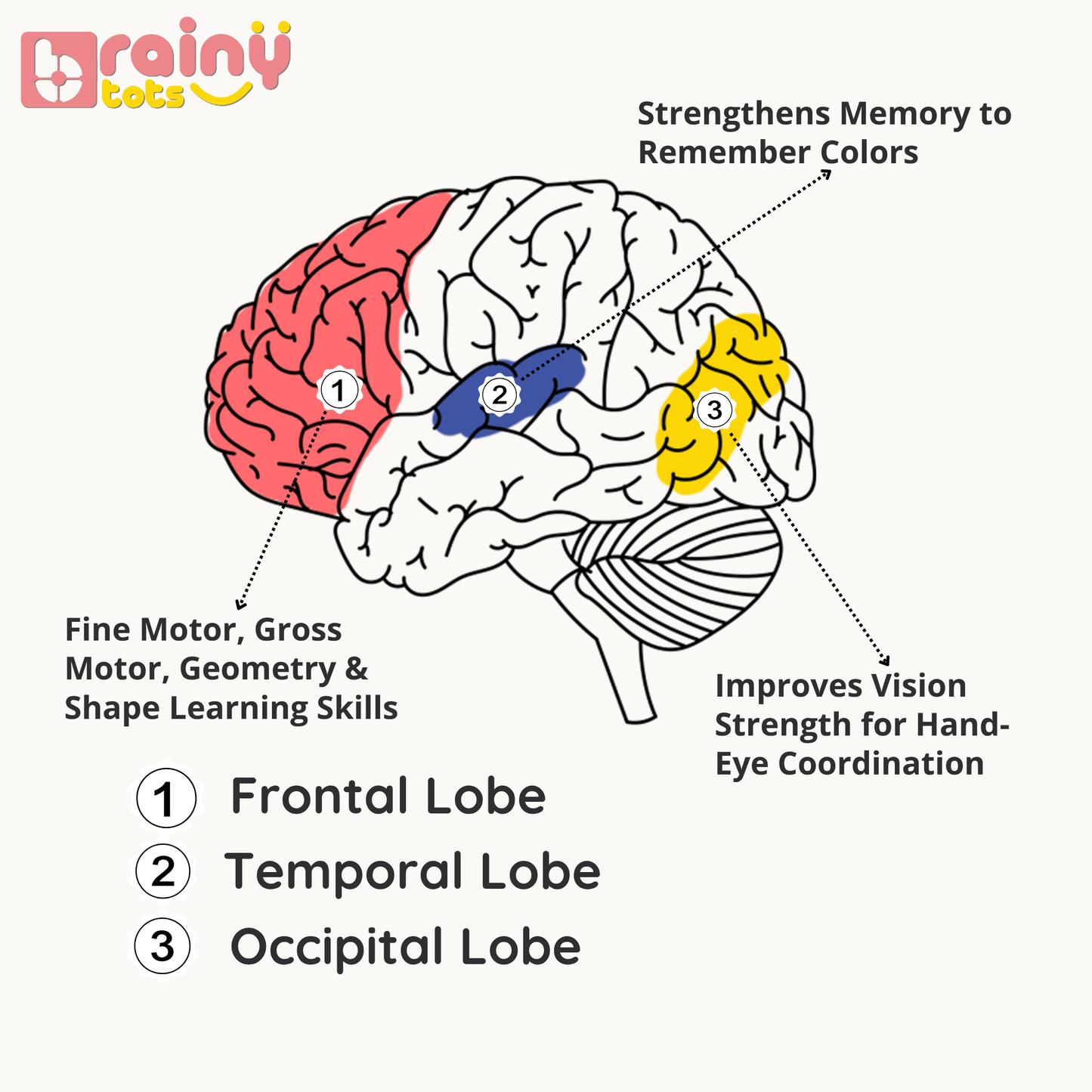 BrainyTots Wooden Ring Stacker developmental infographic illustrating how stacking colorful wooden rings supports fine motor skills, hand-eye coordination, color recognition, shape learning, memory development, and visual processing through Montessori-inspired play for babies aged 6+ months.