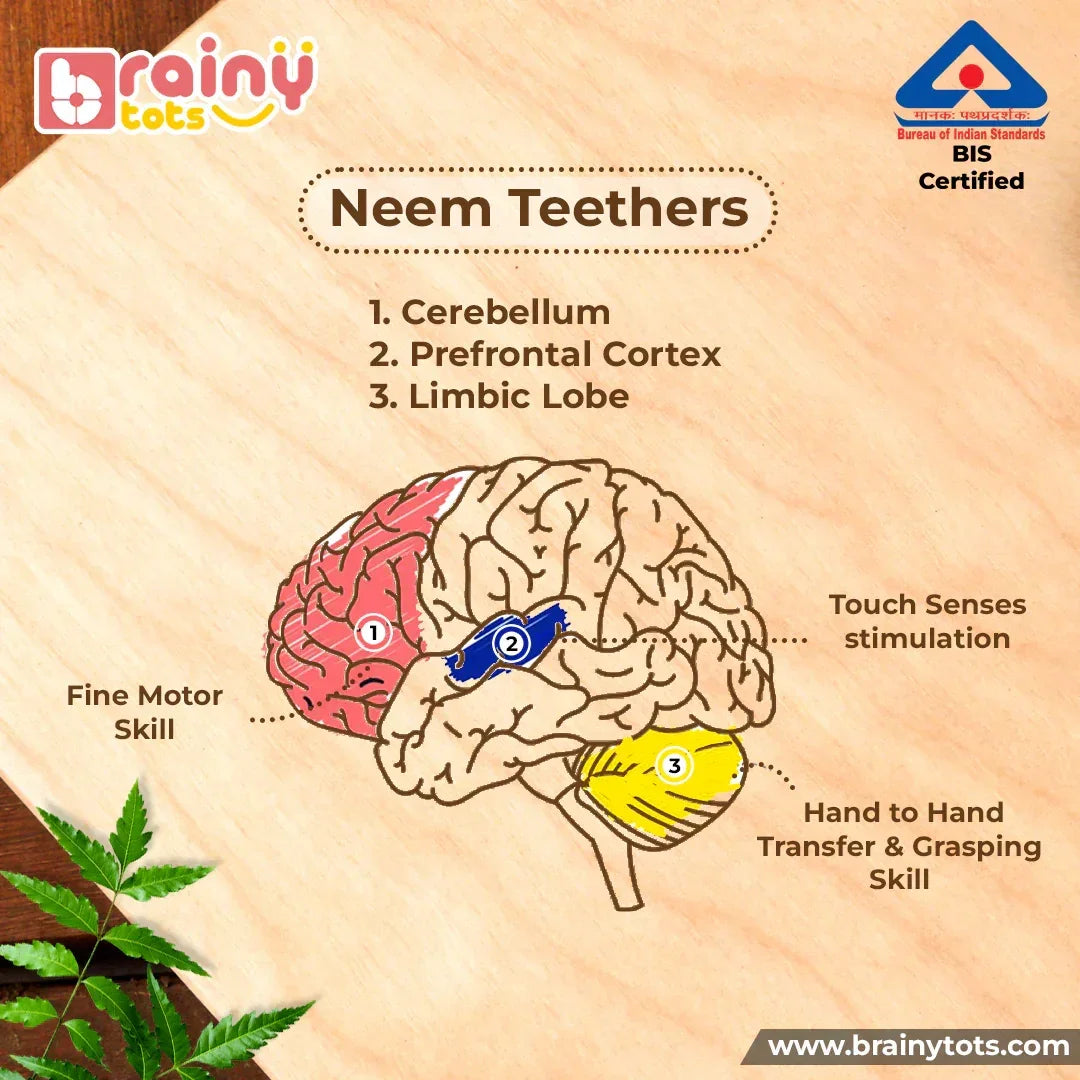 BrainyTots Neem Wood Teether Set infographic illustrating how natural wooden teethers support fine motor skills, hand-to-hand transfer, grasping, touch sensory stimulation, and Montessori-inspired early development for babies.