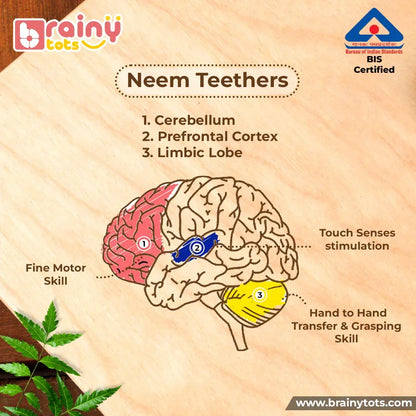 BrainyTots Neem Wood Teether Set infographic illustrating how natural wooden teethers support fine motor skills, hand-to-hand transfer, grasping, touch sensory stimulation, and Montessori-inspired early development for babies.