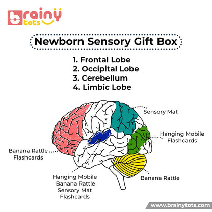 BrainyTots Newborn Sensory Gift Box infographic illustrating how high-contrast flashcards, sensory mat, hanging mobile, and banana rattle support early brain development, sensory learning, and visual stimulation in newborns.