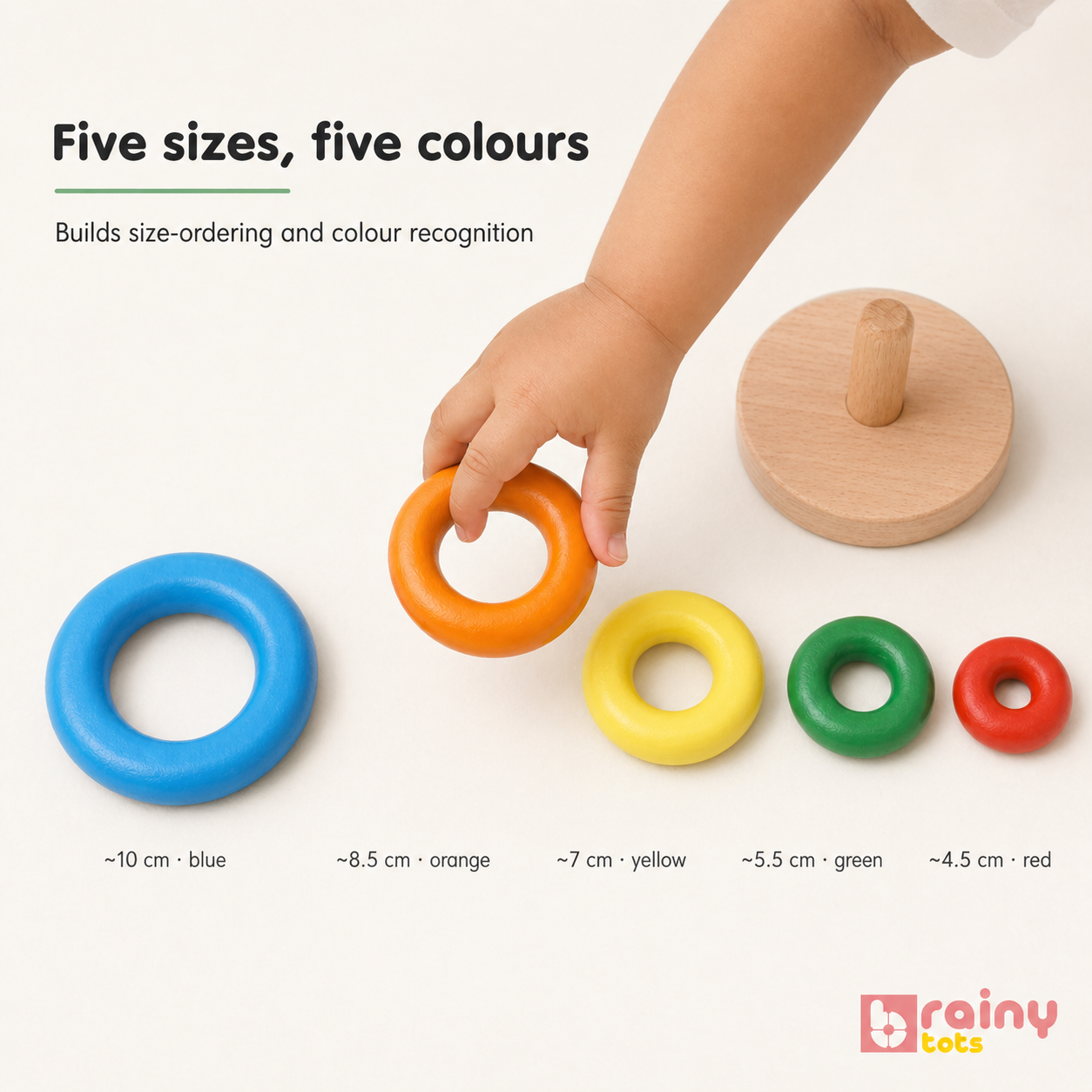 BrainyTots Wooden Ring Stacker with five colorful wooden rings in different sizes, helping babies aged 6+ months develop color recognition, size sequencing, hand-eye coordination, fine motor skills, problem-solving, and independent Montessori learning through hands-on play.