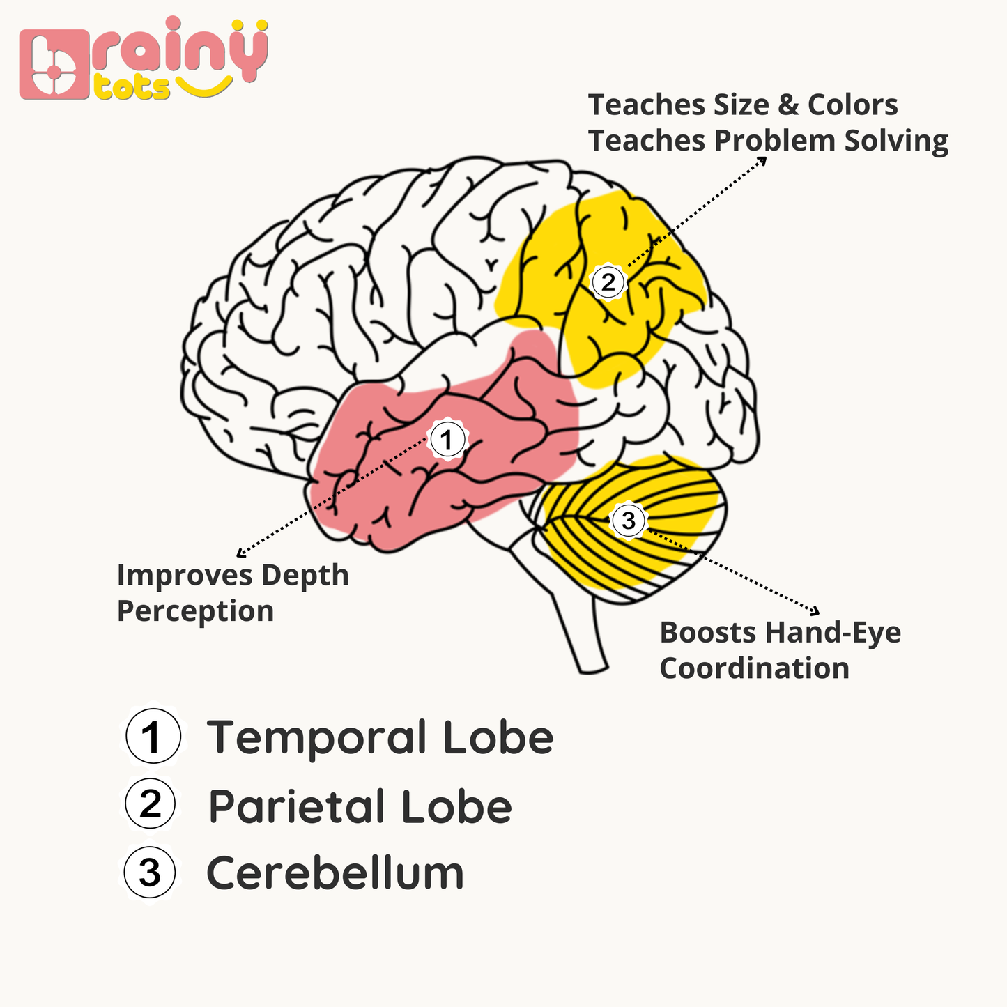 BrainyTots Wooden Nesting Bowls developmental illustration showing how Montessori stacking and nesting activities support depth perception, size and color recognition, hand-eye coordination, and early problem-solving skills in babies and toddlers.