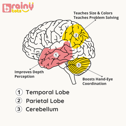 BrainyTots Wooden Nesting Bowls developmental illustration showing how Montessori stacking and nesting activities support depth perception, size and color recognition, hand-eye coordination, and early problem-solving skills in babies and toddlers.