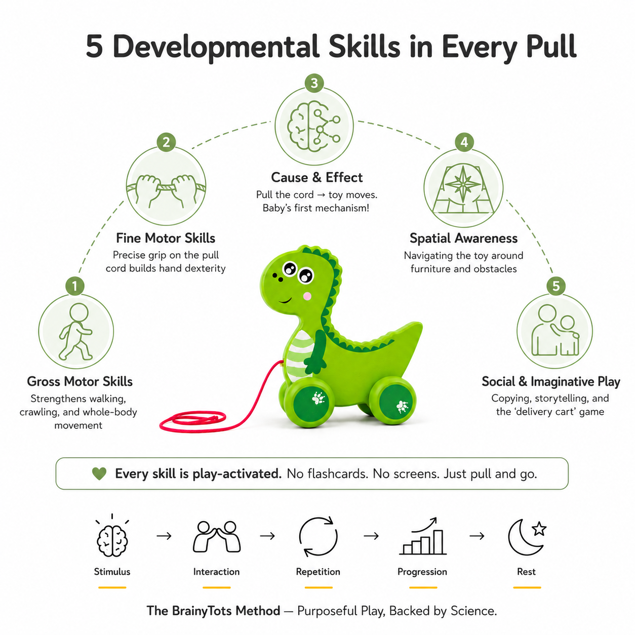 BrainyTots Wooden Dinosaur Push & Pull Toy illustrating five developmental skills, including gross motor skills, fine motor skills, cause-and-effect learning, spatial awareness, and imaginative play for babies 6–24 months.