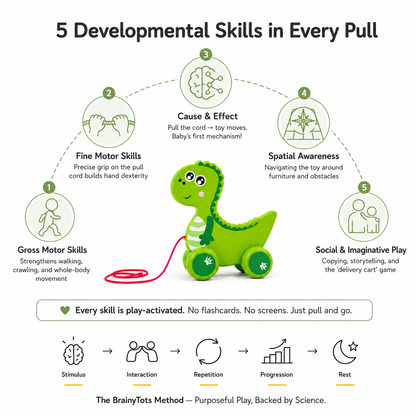 BrainyTots Wooden Dinosaur Push & Pull Toy illustrating five developmental skills, including gross motor skills, fine motor skills, cause-and-effect learning, spatial awareness, and imaginative play for babies 6–24 months.