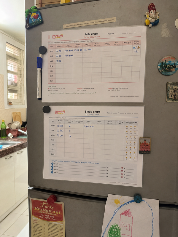 Fridge charts — Sneha Kulkarni