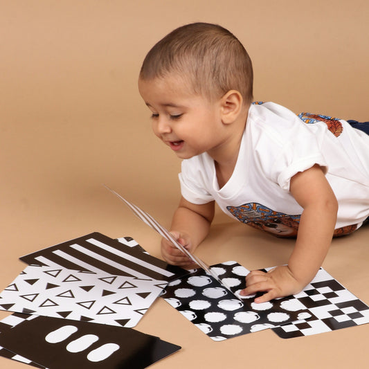 Flash Cards Kit of 8 Sets - High Contrast & Learning Flashcards for Babies 0-24 Months
