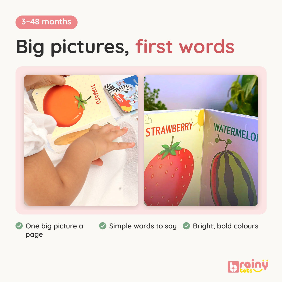 Board Books – First Words & Picture Reading Set for Babies