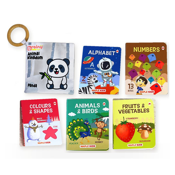 Baby's First Books Set