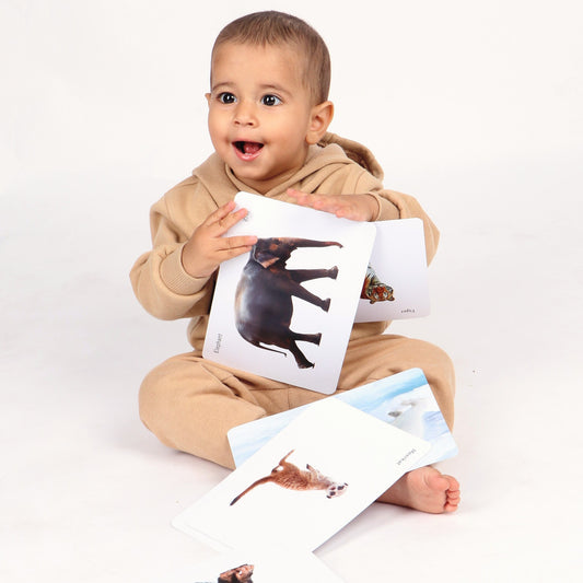 Flashcards Set of 4 - First Words & Everyday Language - Baby Flashcards for Early Learning
