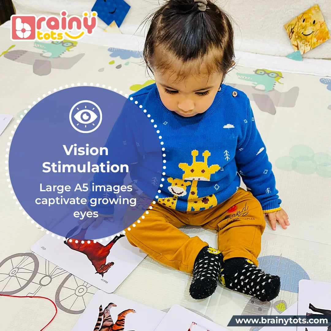 Toddler exploring the BrainyTots Flash Cards Kit of 8 Sets with large high-contrast animal flashcards that support visual stimulation, visual tracking, and early learning for babies and toddlers aged 0–24 months.