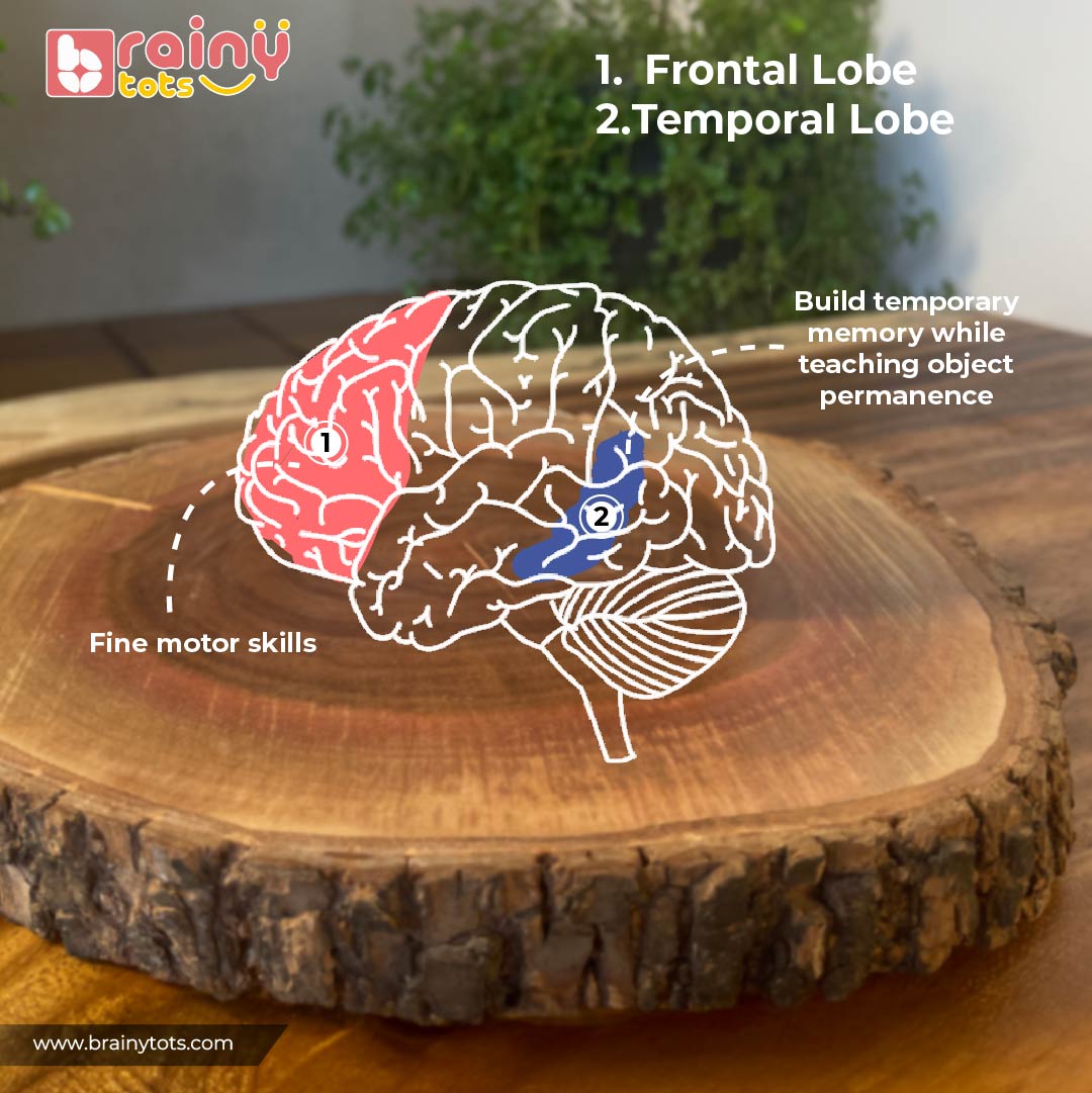 Object Permanence Box