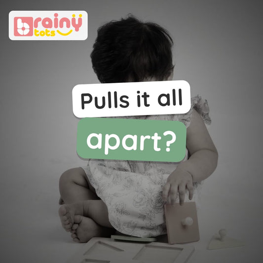 BrainyTots 4 Shapes Wooden Puzzle video: chunky-knob circle, square, triangle and rectangle pieces lifted, turned and fitted into place. Ages 9–24 months.