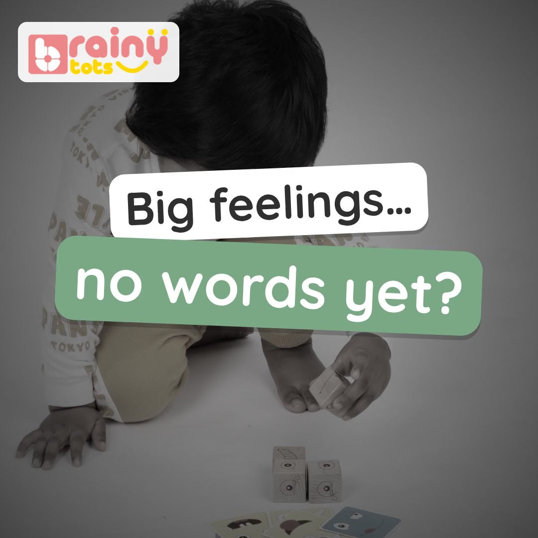 BrainyTots Faces Match Fun Cubes video: four beechwood cubes turned to match the face on a card – happy, sad, surprised, cross – to name feelings. Ages 3+.