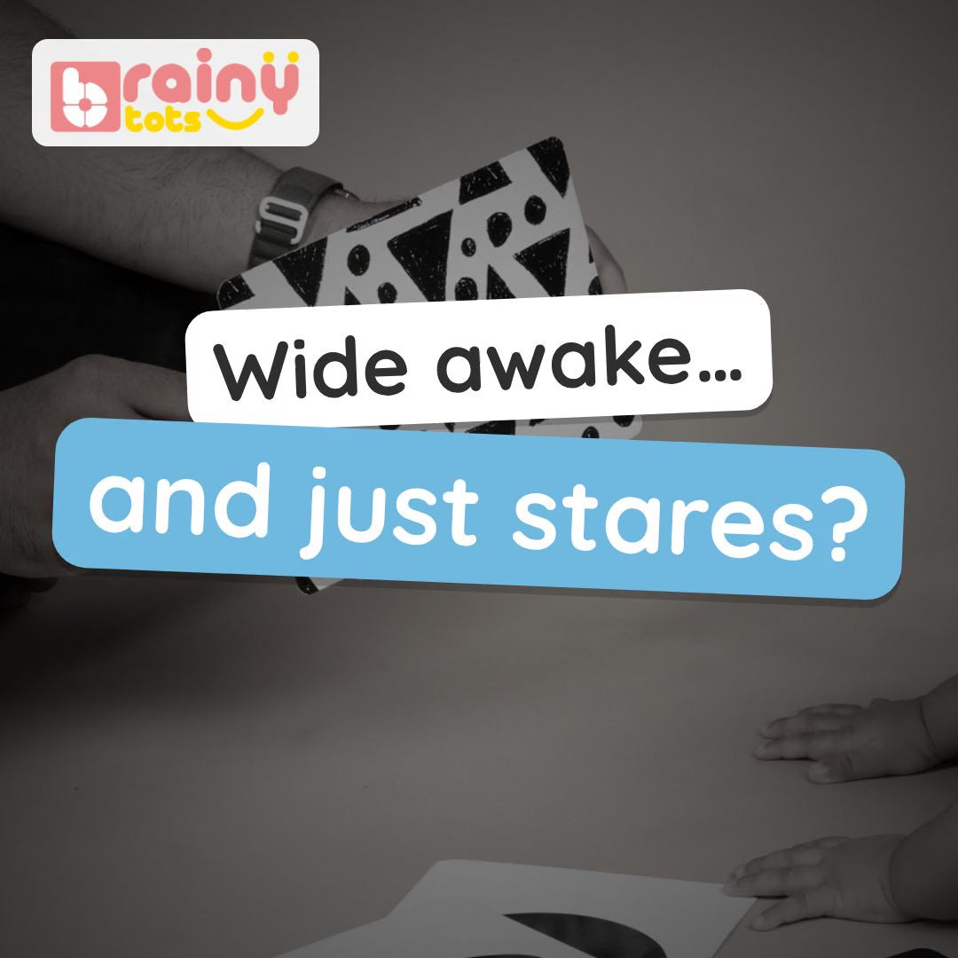 BrainyTots High-Contrast Flashcards video: bold black-and-white cards held close for new eyes to focus on and follow, plus a mirror card. Ages 0–6 months.