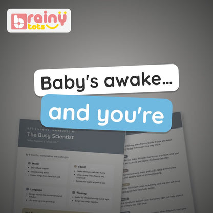 BrainyTots Brain Development Activities Plan 0–2 Years video: one play activity a day, 735 in all, across eight stages from birth to two, on any phone.