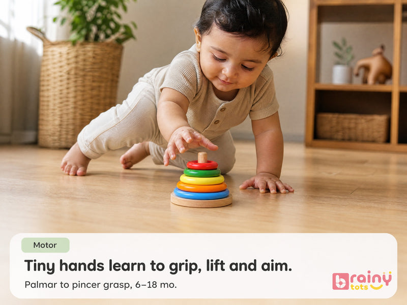 Motor — tiny hands learn to grip, lift and aim.
